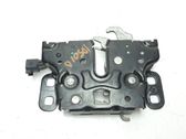 Tie down hook / loop