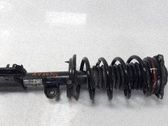Amortiguador delantero con muelle espiral