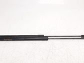 Tailgate/trunk strut/damper