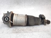 Stoßdämpfer hinten