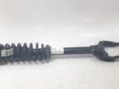 Front shock absorber with coil spring