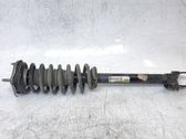 Amortiguador delantero con muelle espiral