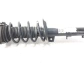 Amortiguador delantero con muelle espiral