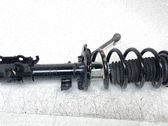 Amortiguador delantero con muelle espiral