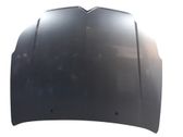 Engine bonnet/hood
