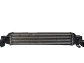 Intercooler radiator
