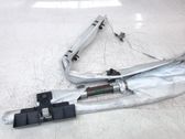 Airbag de la puerta delantera