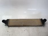 Intercooler radiator