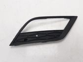 Lusteinlass Gitter Kotflügel