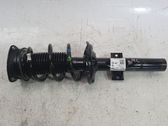Front shock absorber with coil spring