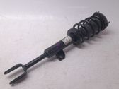 Front shock absorber with coil spring