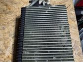 Air conditioning (A/C) radiator (interior)