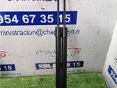 Amortiguador del maletero/compartimento de carga