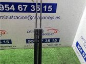 Amortiguador del maletero/compartimento de carga