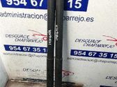 Amortiguador del maletero/compartimento de carga
