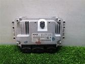 Engine control unit/module ECU