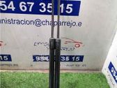 Amortiguador del maletero/compartimento de carga