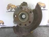 Front wheel hub spindle knuckle