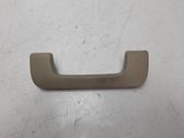 Manecilla interna puerta delantera