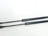 Tailgate/trunk strut/damper
