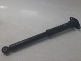 Stoßdämpfer hinten