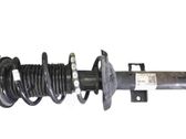 Amortiguador delantero con muelle espiral