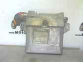 Unidad de control/módulo del motor
