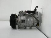 Klimakompressor Pumpe