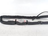 Airbag de la puerta delantera