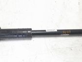 Rear shock absorber/damper