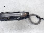 Manecilla externa puerta trasera