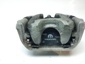 Bremssattel hinten
