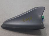 Radion antenni