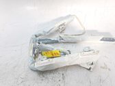 Airbag de la puerta delantera