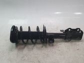 Front shock absorber with coil spring
