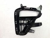 Lusteinlass Gitter Kotflügel