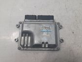 Calculateur moteur ECU