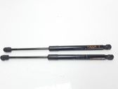 Tailgate/trunk strut/damper