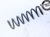 Rear coil spring