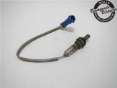 Sonde lambda