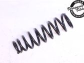 Front coil spring