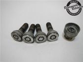Nuts/bolts