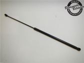 Front bonnet/hood damper/strut