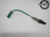Sonde lambda