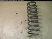 Front coil spring