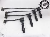 Ignition plug leads