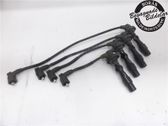Ignition plug leads