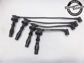 Ignition plug leads