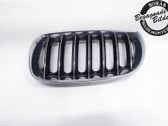 Front bumper lower grill