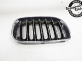 Front bumper lower grill